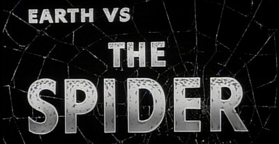 spider01